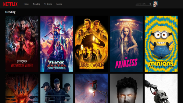 netflix project image